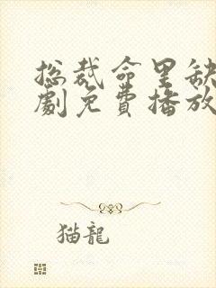 总裁命里缺我短剧免费播放