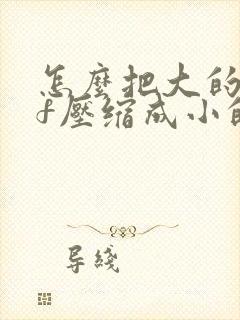 怎么把大的pdf压缩成小的