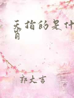 天指的是什么生肖