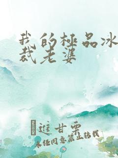 我的极品冰山总裁老婆