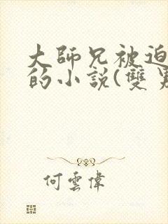 大师兄被迫承欢的小说(双男主)