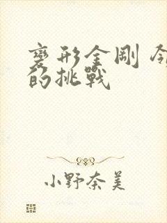 变形金刚 领袖的挑战