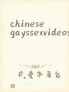chinesegayssexvideos