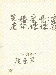 军婚蜜爱:高冷老公,坏坏宠