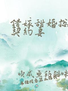 错嫁甜婚总裁的契约妻