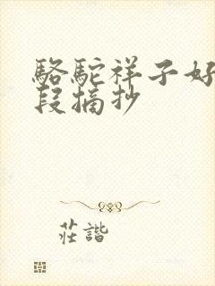 骆驼祥子好句好段摘抄