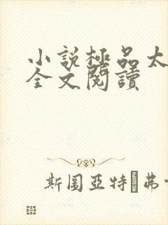 小说极品太子爷全文阅读