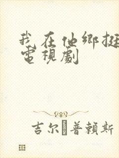 我在他乡挺好的电视剧