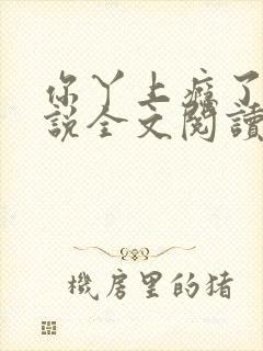 你丫上瘾了 小说全文阅读免费
