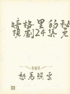 暗格里的秘密电视剧24集免费观看