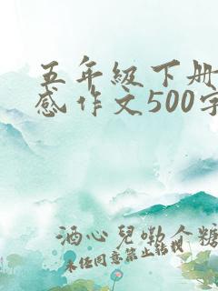 五年级下册读后感作文500字红楼梦
