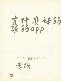 有什么好的看小说的app