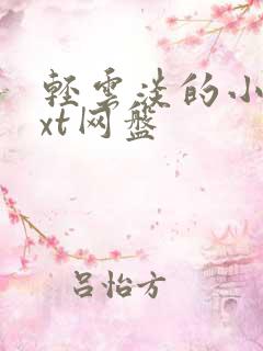 轻云淡的小说txt网盘