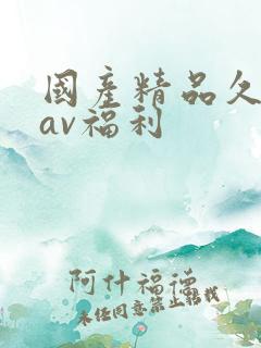 国产精品久久久av福利