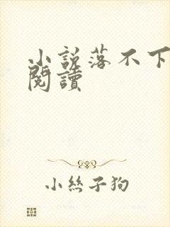小说落不下免费阅读
