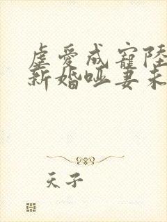 虐爱成宠陆总的新婚哑妻未删减