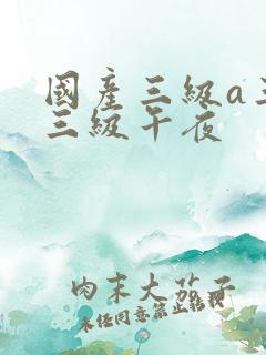 国产三级a三级三级午夜