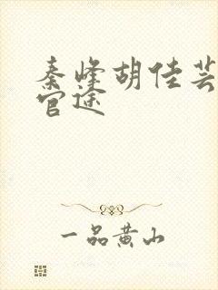 秦峰胡佳芸宦海官途