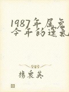 1987年属兔今年的运气怎么样