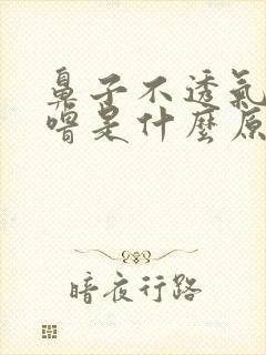 鼻子不透气打呼噜是什么原因