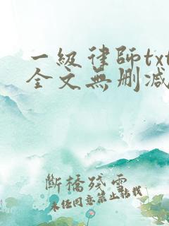 一级律师txt全文无删减