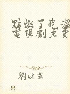 点燃了我温暖你电视剧免费观看全集