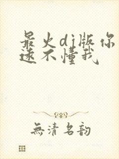 最火dj版你永远不懂我