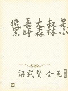 机长大叔是饿狼黑暗森林小说笔