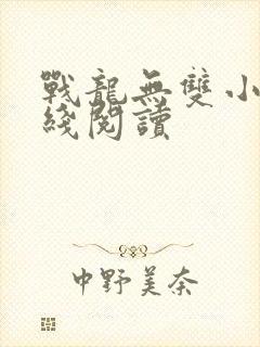 战龙无双小说在线阅读