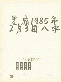 农历1985年2月3日八字运程