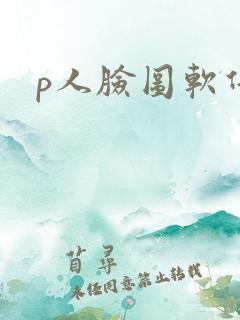 p人脸图软件