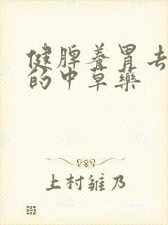 健脾养胃去湿气的中草药