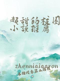 超甜的校园言情小说推荐