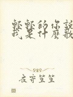 轻轻的你说的爱我是什么歌
