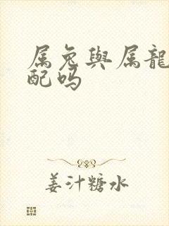 属兔与属龙的相配吗