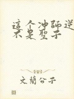 这个冲师逆徒才不是圣子