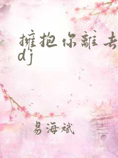 拥抱你离去郭玲dj