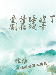 爱情睡醒了电视剧在线看