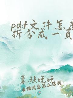 pdf文件怎么拆分成一页一页的
