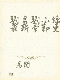刘易刘小绵小说最新章节更新时间