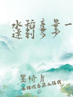 水稻产量一般能达到多少