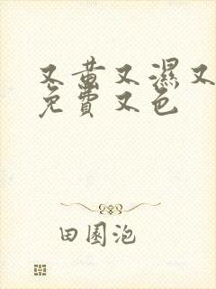 又黄又湿又爽又免费又色