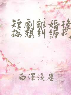 短剧离婚后前夫总想纠缠我