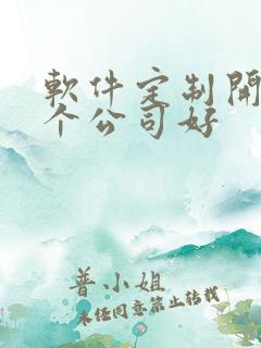 软件定制开发哪个公司好