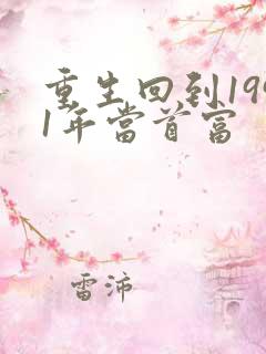 重生回到1991年当首富