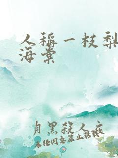 人称一枝梨花压海棠