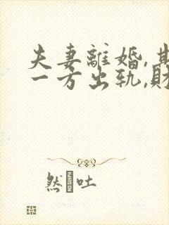 夫妻离婚,其中一方出轨,财产该如何分配