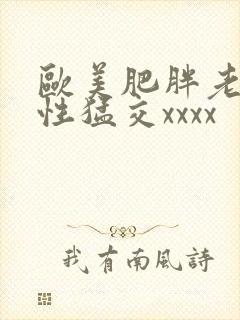 欧美肥胖老熟妇性猛交xxxx