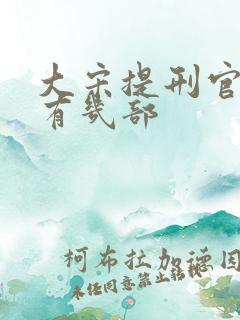大宋提刑官一共有几部