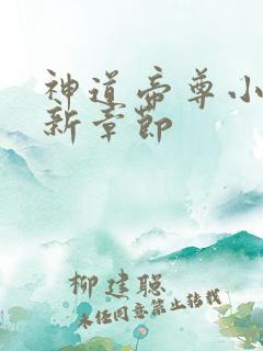 神道帝尊小说最新章节
